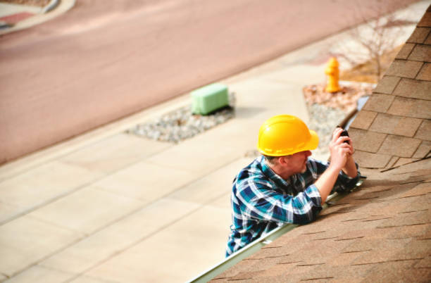 Best Roof Leak Repair  in Sheldon, IL