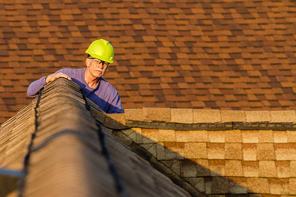 Best Shingle Roofing Installation  in Sheldon, IL