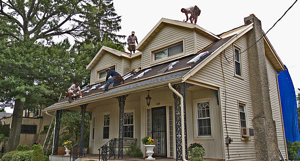 Best Storm Damage Roof Repair  in Sheldon, IL
