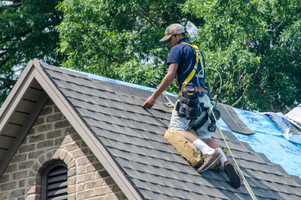 Trusted Sheldon, IL Roofing Contractor Experts